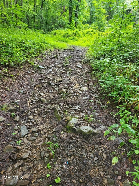 Photo #2: Tbd Dry Branch Road