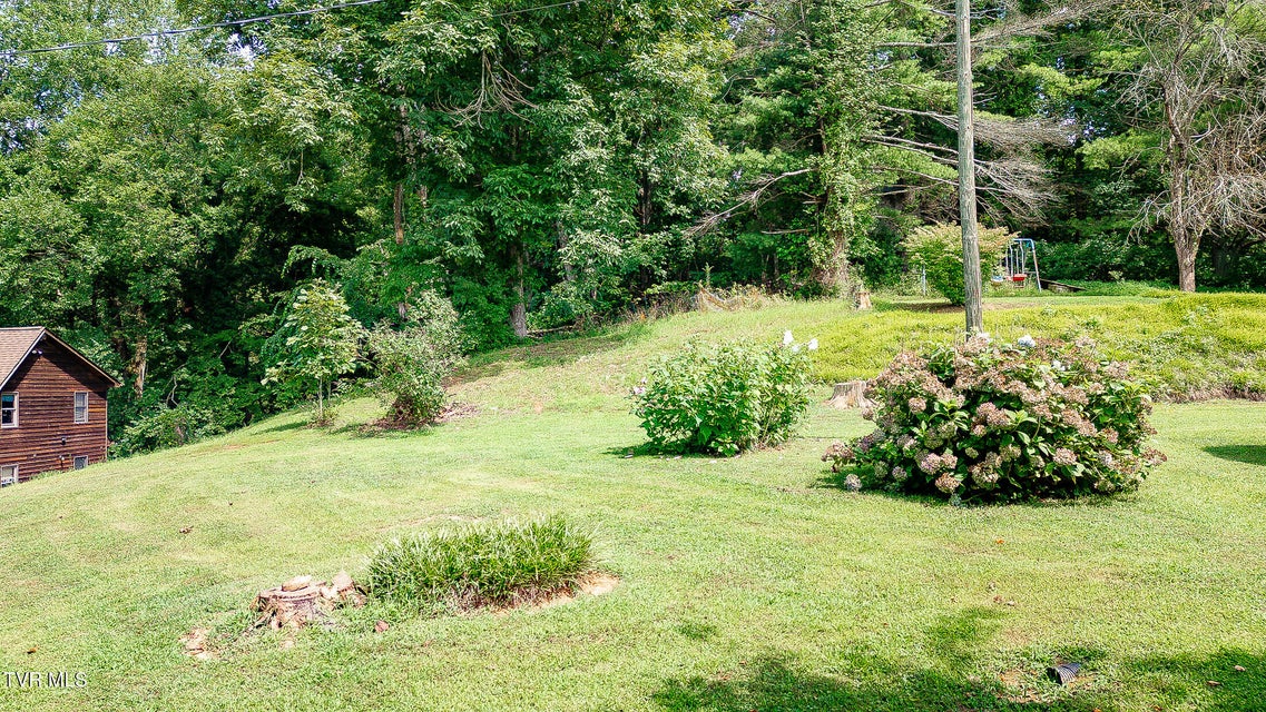 Photo #9: 0 Laurel Street