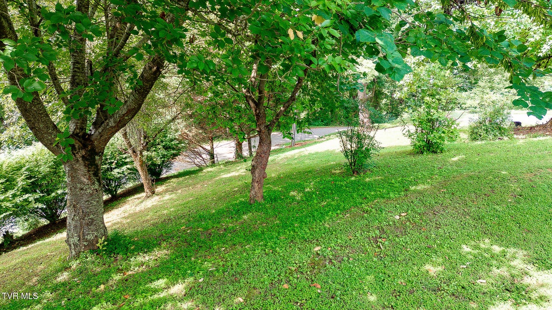 Photo #10: 0 Laurel Street