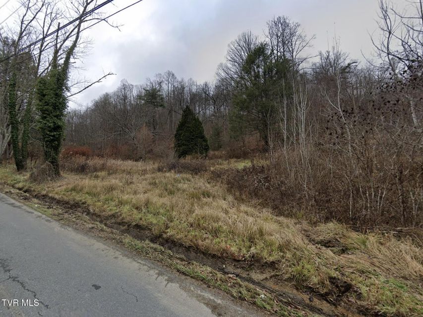 Photo #2: 246 Browns Branch Road