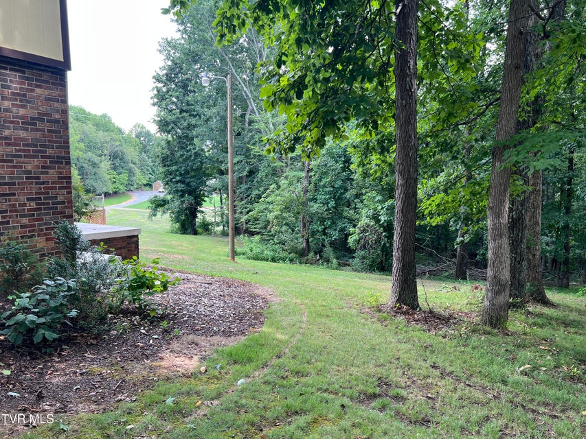 Photo #35: 435 Matson Road