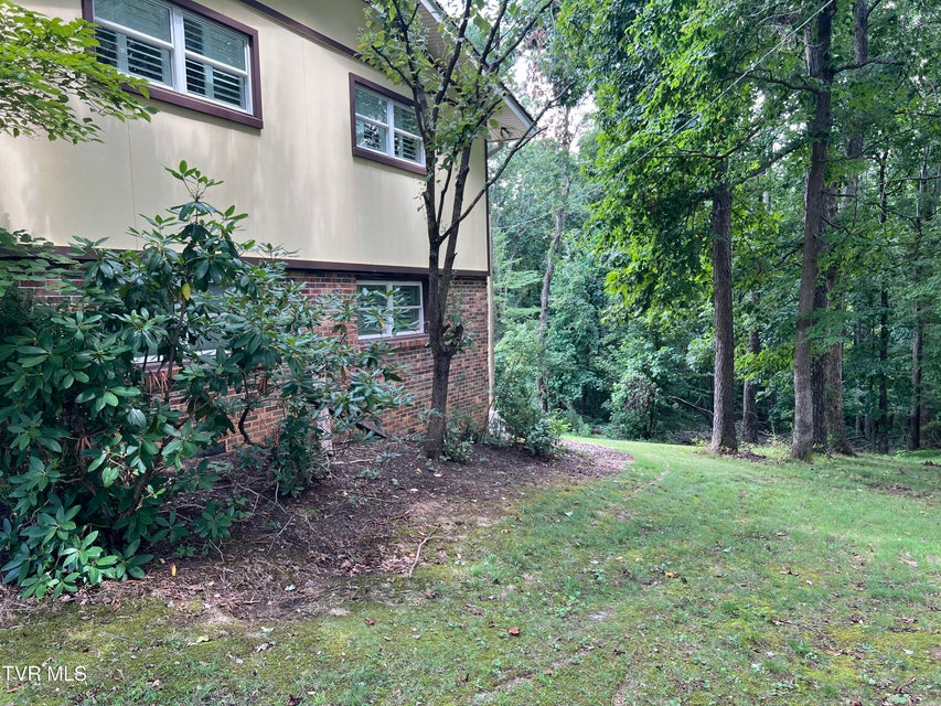 Photo #42: 435 Matson Road