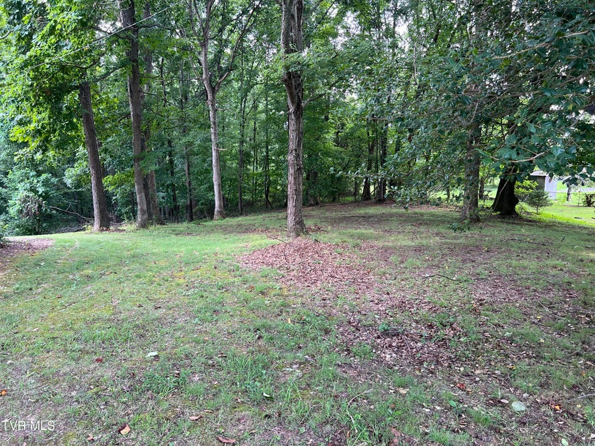 Photo #38: 435 Matson Road