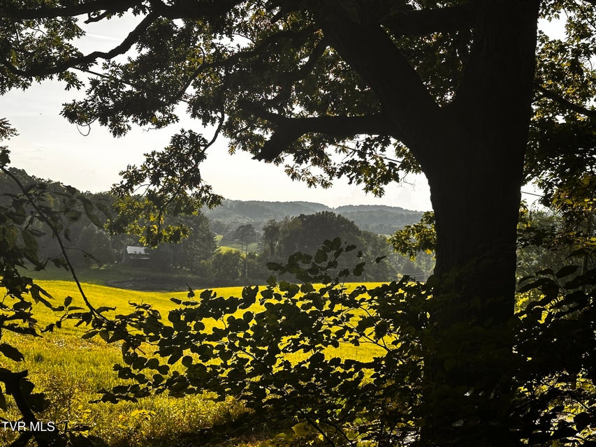 Photo #18: Tbd Saint James Road