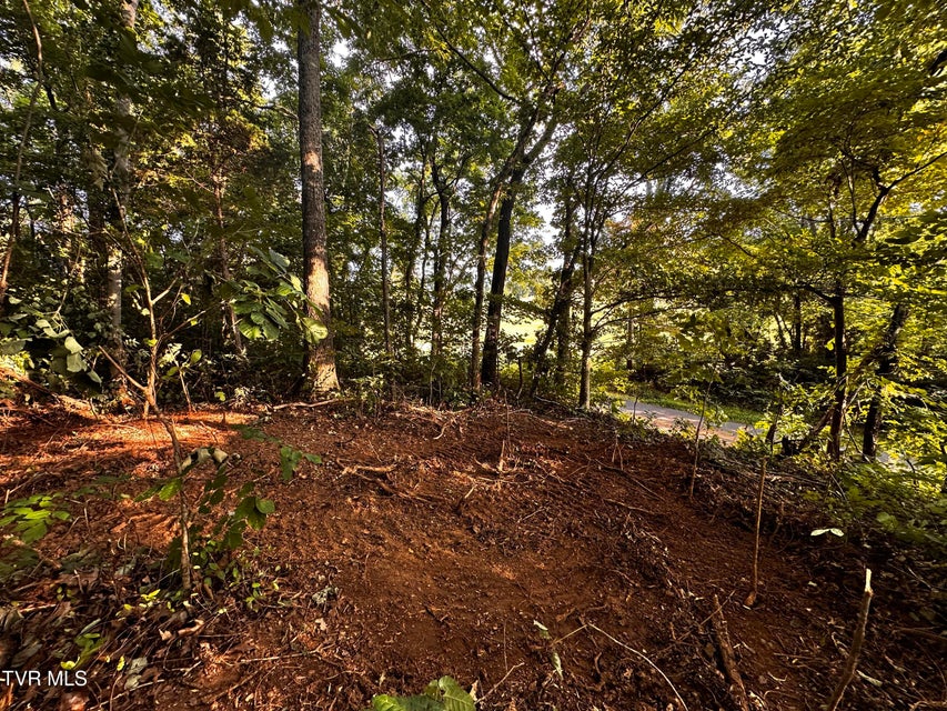 Photo #4: Tbd Saint James Road