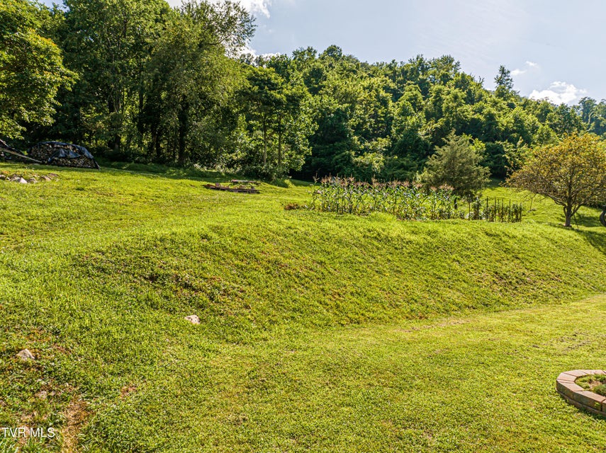Photo #64: 9600 Porterfield Highway