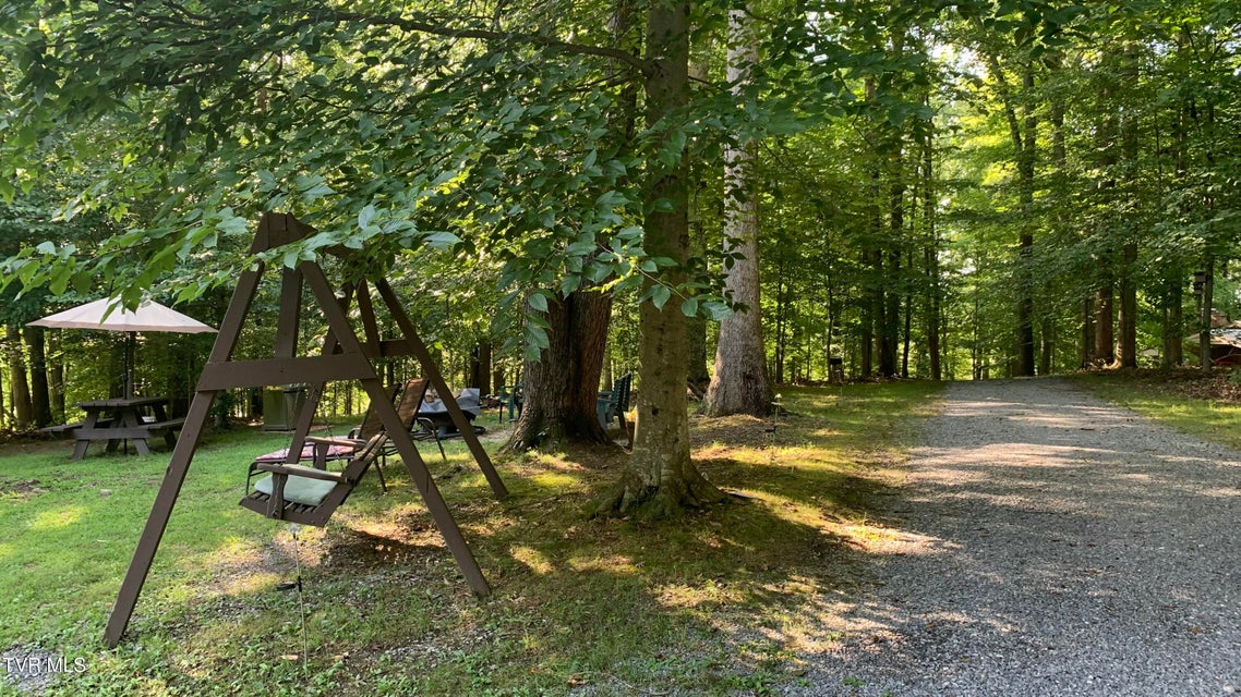 Photo #56: 355 Holston Drive