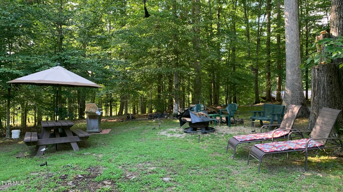 Photo #59: 355 Holston Drive