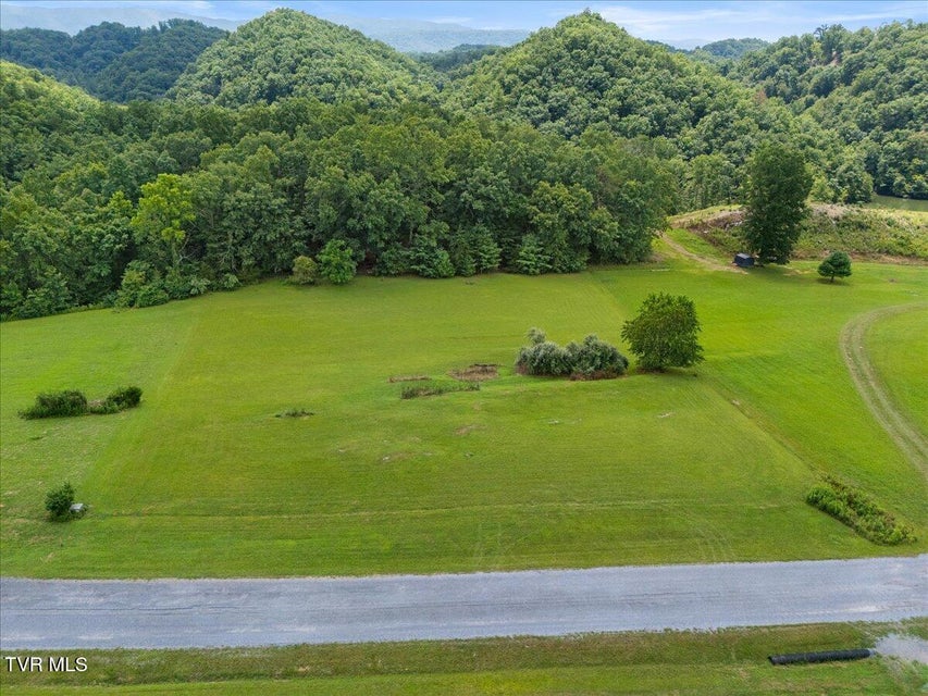 Photo #15: Tbd Lake Pointe Drive