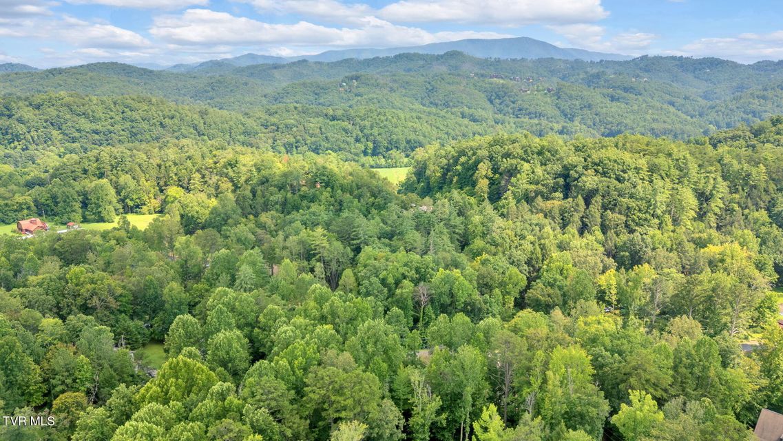 Photo #28: 2875 Mcmahan Sawmill Road