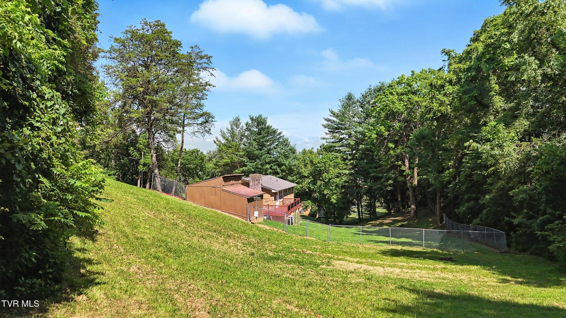 Photo #31: 351 Bell Street