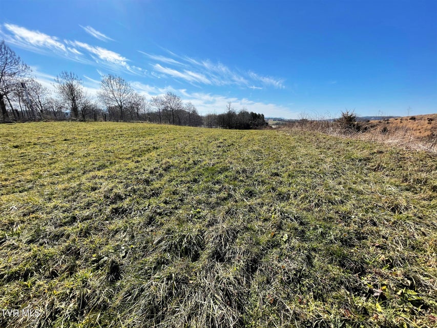 Photo #3: 4 Acres Highway 321 