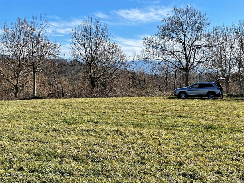 Photo #4: 4 Acres Highway 321 
