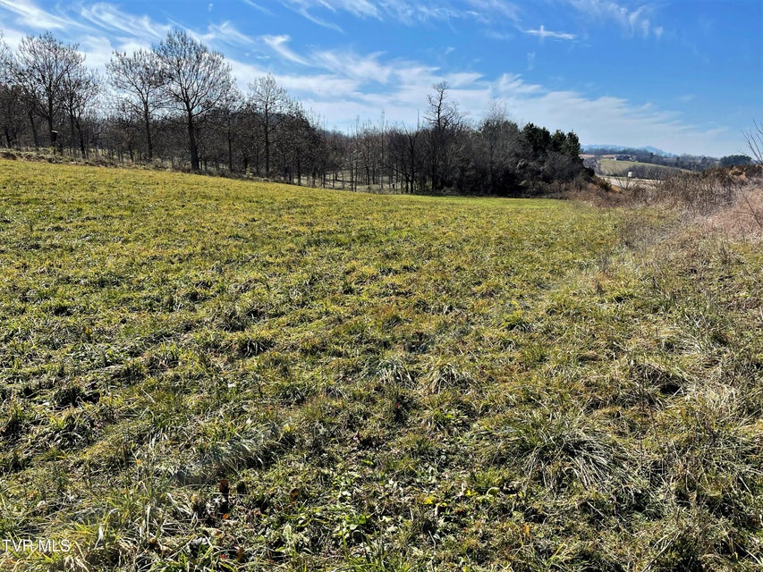 Photo #5: 4 Acres Highway 321 