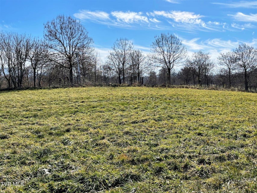 Photo #6: 4 Acres Highway 321 