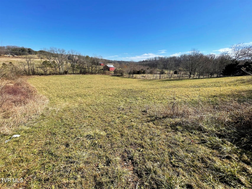 Photo #7: 4 Acres Highway 321 
