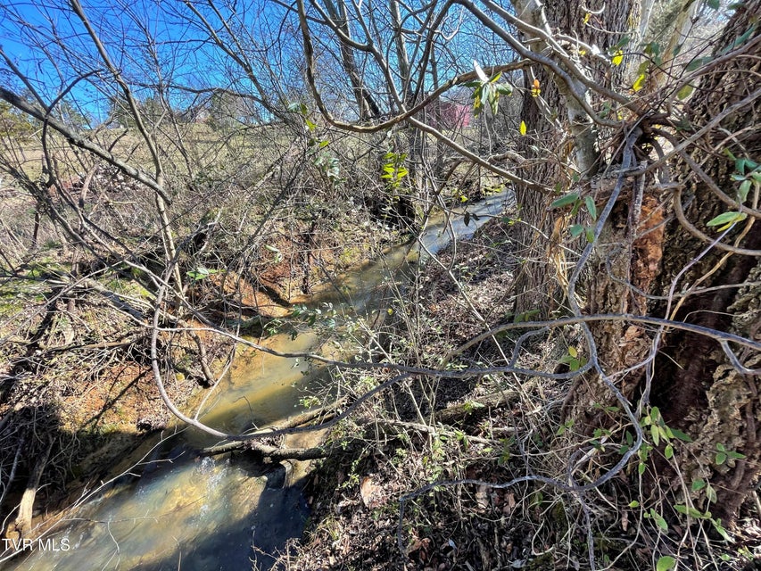Photo #8: 4 Acres Highway 321 
