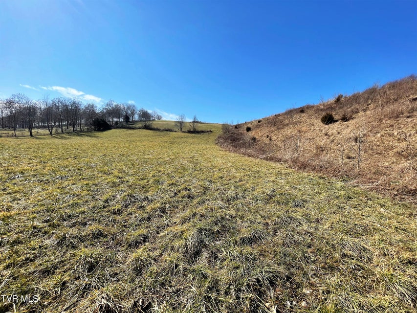 Photo #10: 4 Acres Highway 321 