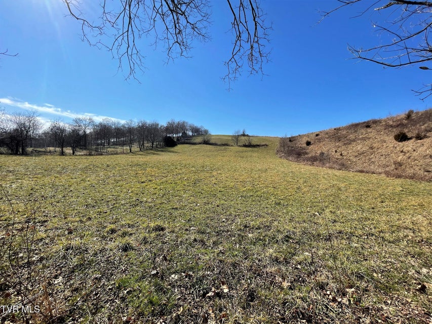 Photo #11: 4 Acres Highway 321 