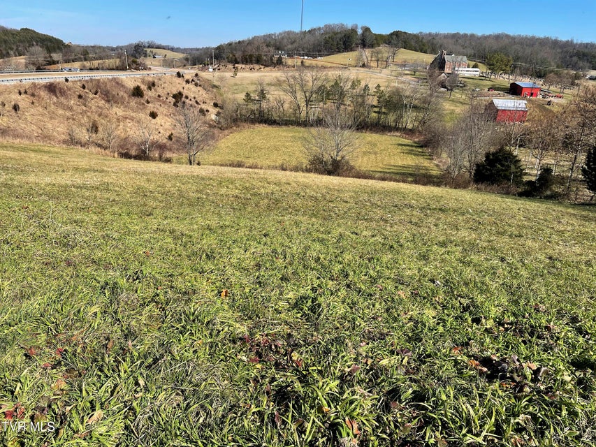 Photo #12: 4 Acres Highway 321 