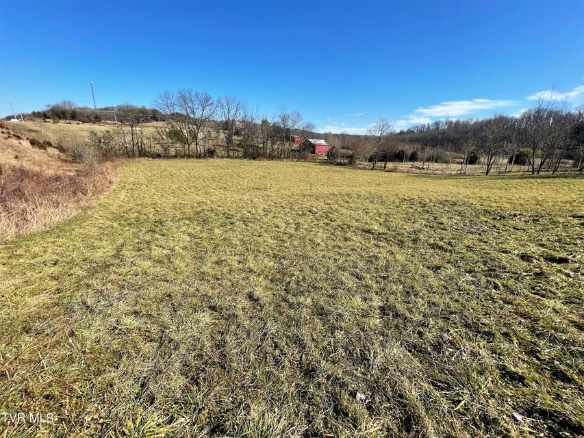 Photo #13: 4 Acres Highway 321 