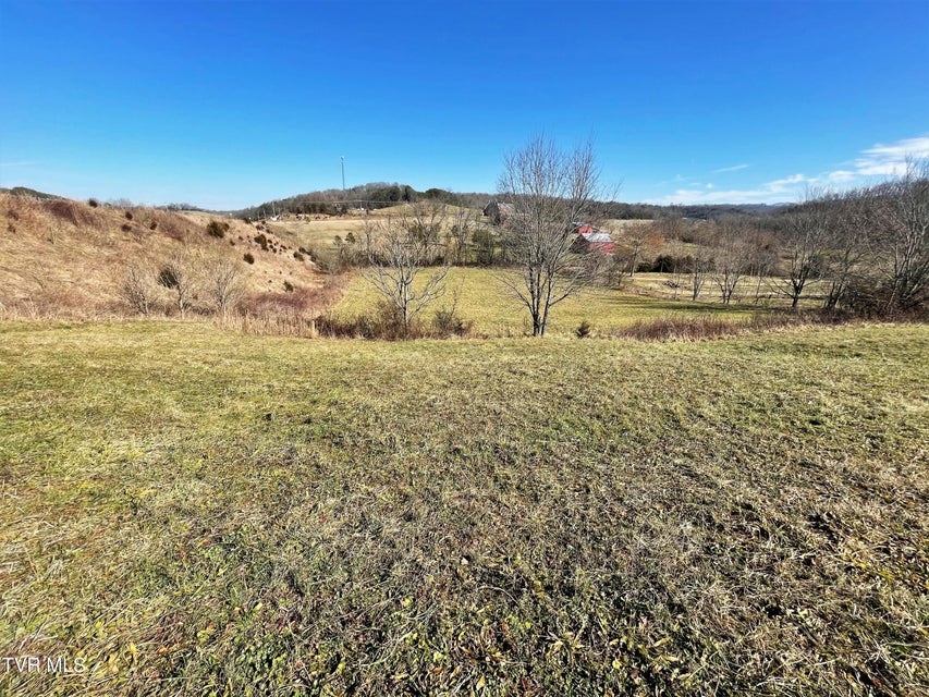 Photo #14: 4 Acres Highway 321 