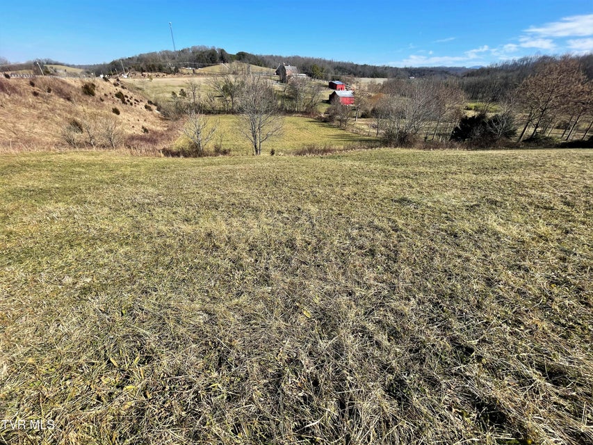 Photo #15: 4 Acres Highway 321 