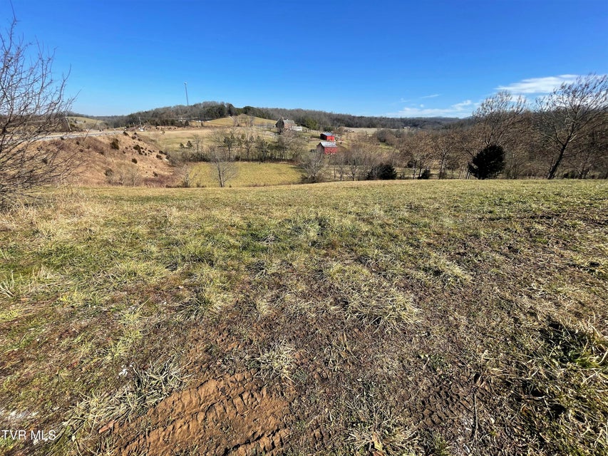 Photo #16: 4 Acres Highway 321 