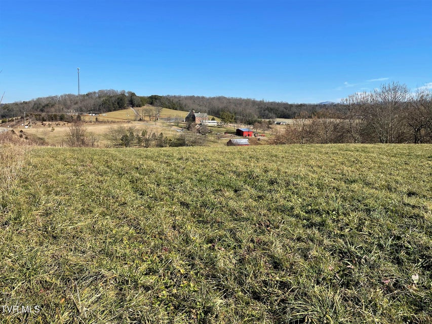 Photo #17: 4 Acres Highway 321 