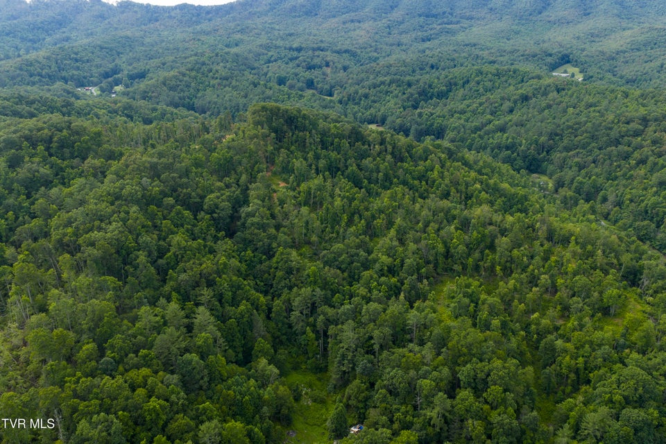 Photo #2: 834 Simerly Creek Road