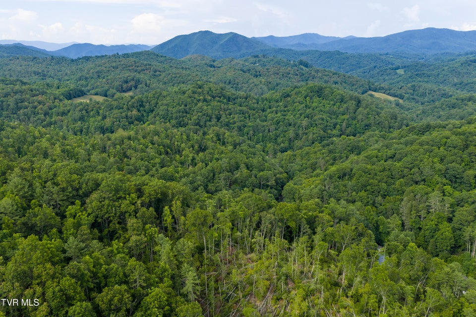 Photo #7: 834 Simerly Creek Road