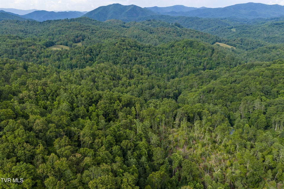 Photo #13: 834 Simerly Creek Road