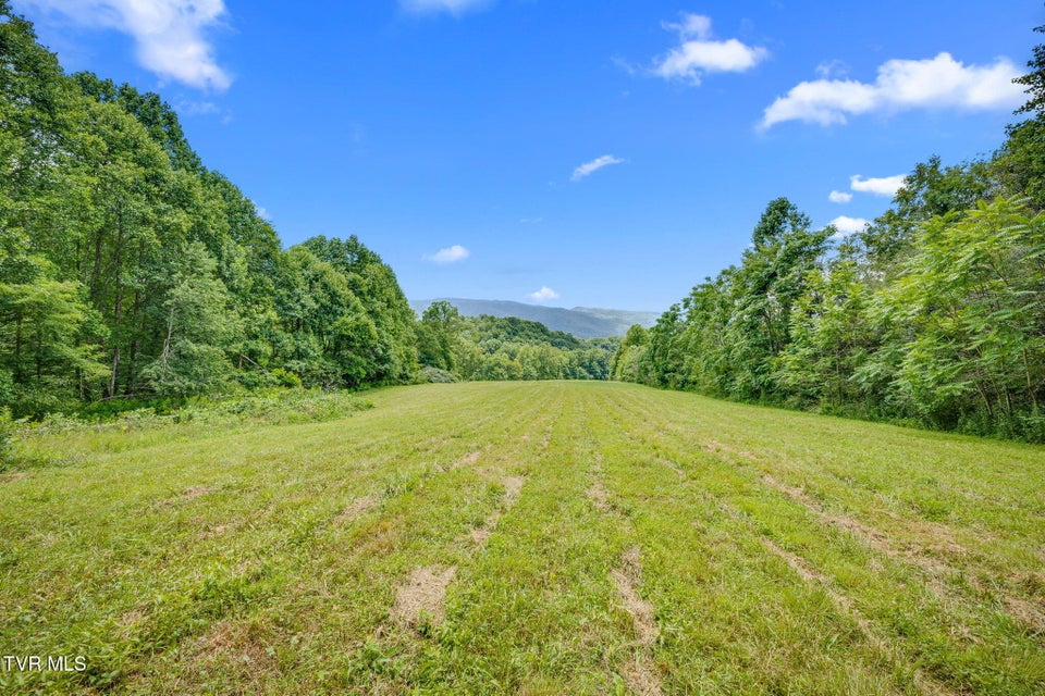 Photo #56: 284 Bulldog Hollow Road