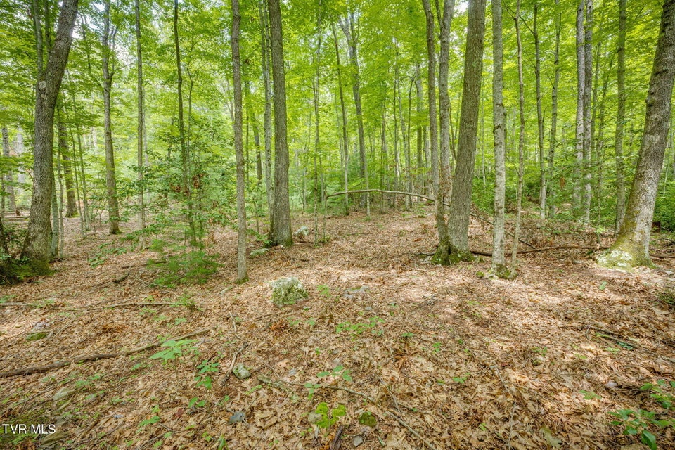 Photo #57: 284 Bulldog Hollow Road