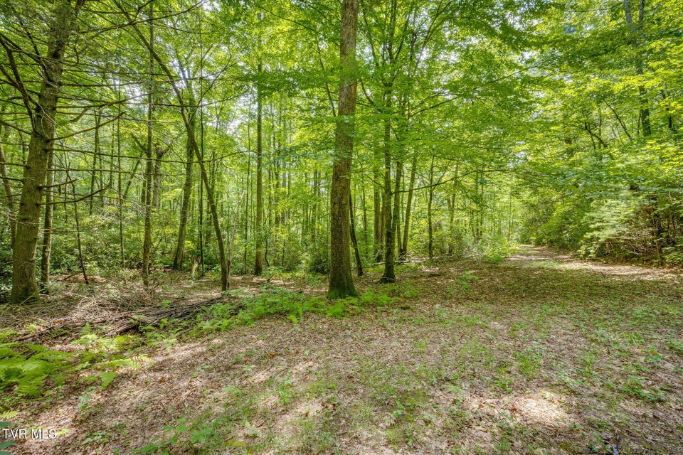 Photo #58: 284 Bulldog Hollow Road