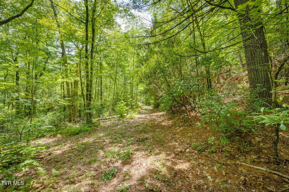 Photo #59: 284 Bulldog Hollow Road