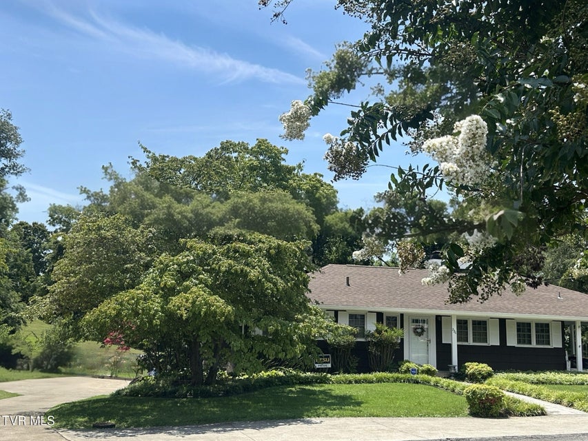 Photo #3: 226 Susong Lane