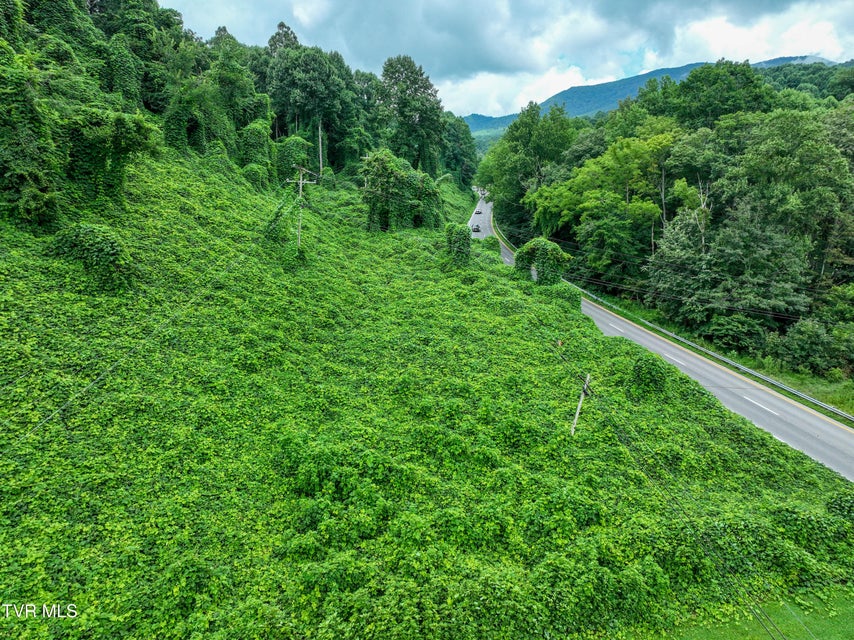 Photo #13: Tbd Porterfield Highway