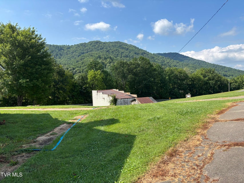 Photo #17: Tbd Roan Creek Road