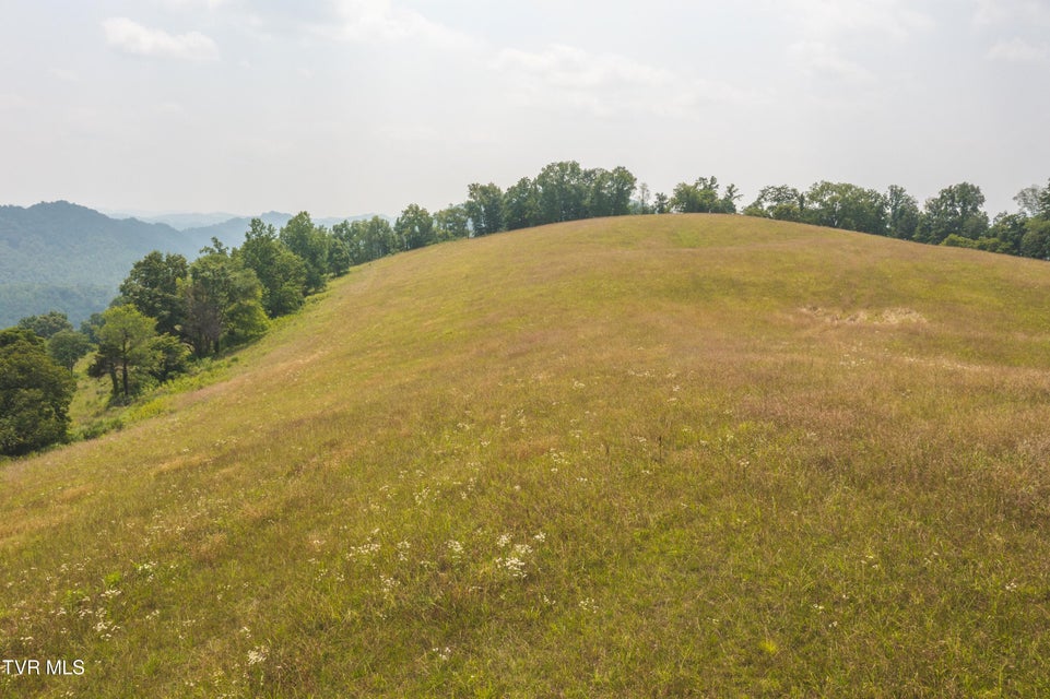 Photo #3: Lots 21&22 Big Springs Road