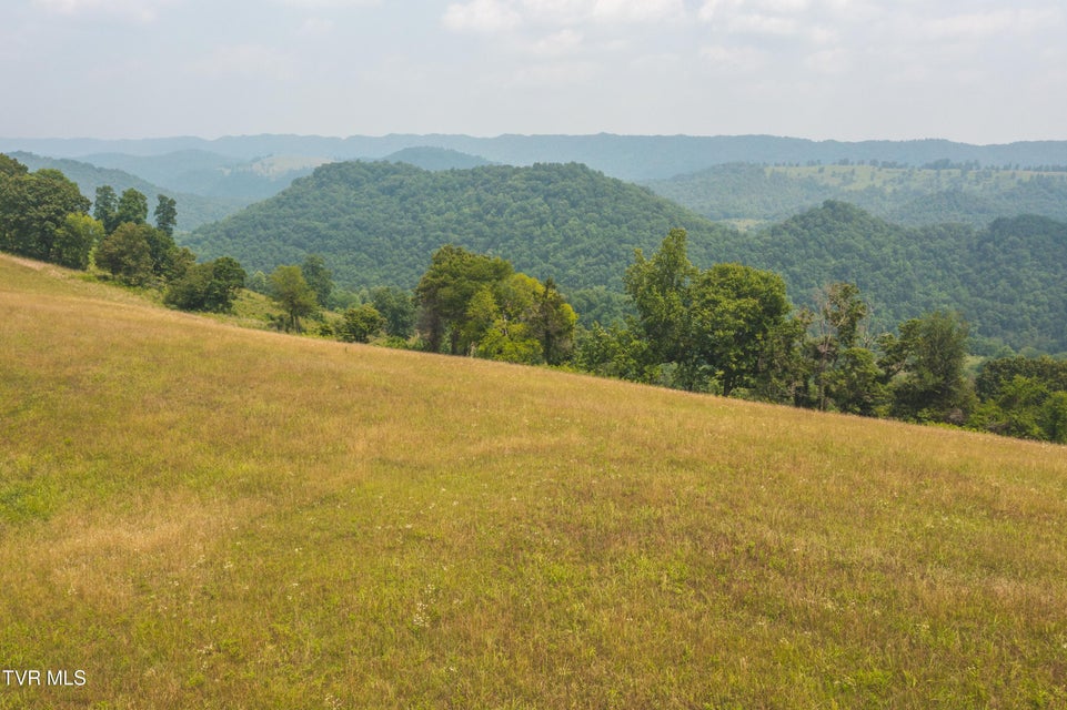Photo #4: Lots 21&22 Big Springs Road