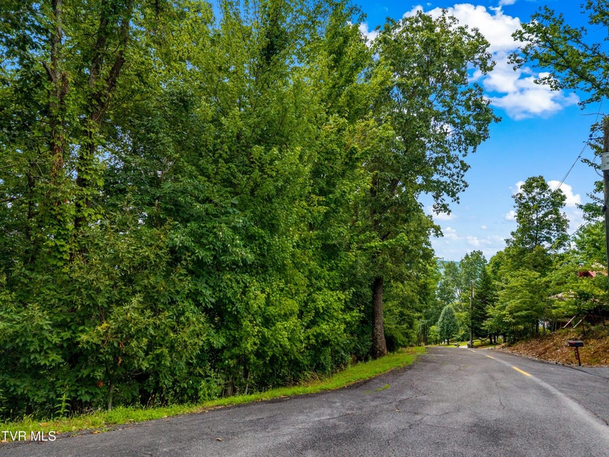 Photo #3: 648 Lakeview Drive