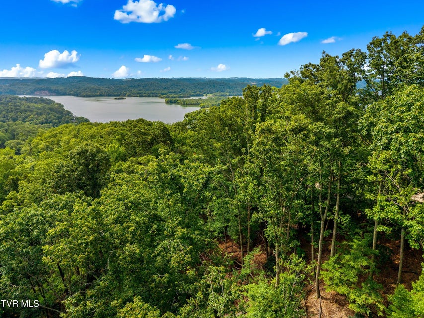 Photo #8: 648 Lakeview Drive