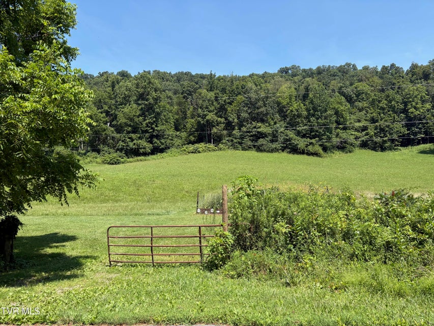 Photo #2: Tbd Walker Mountain Road