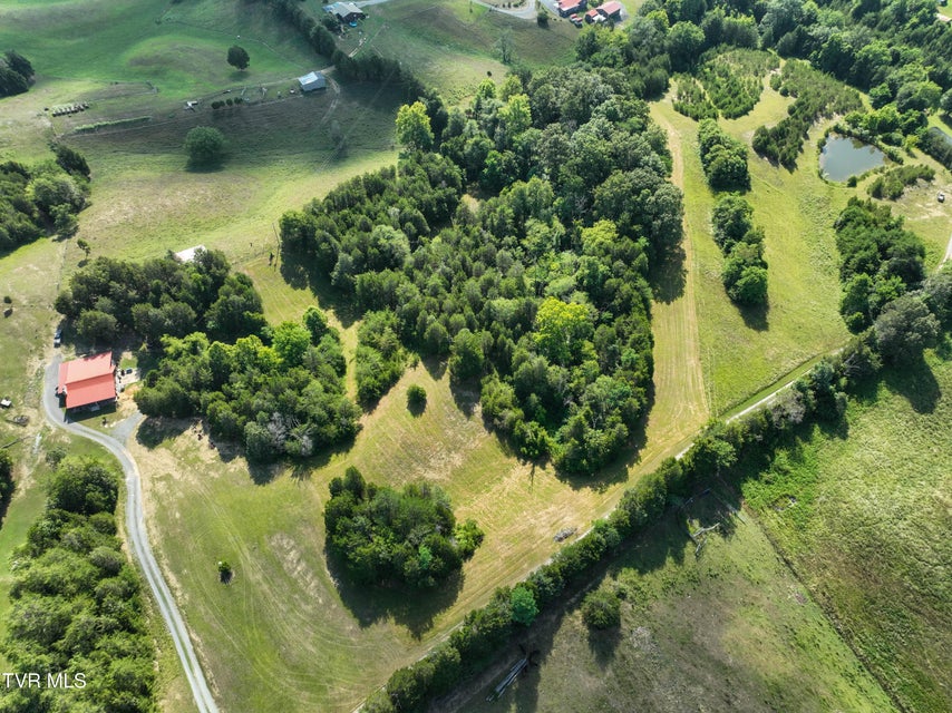 Photo #12: Tbd Kite Road