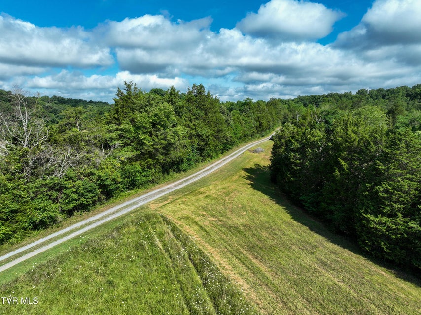 Photo #24: Tbd Kite Road