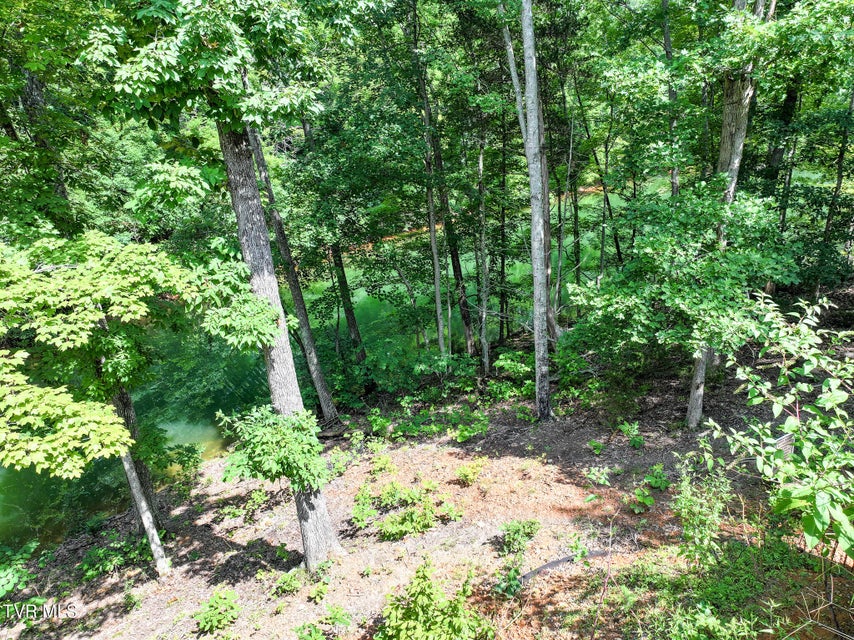 Photo #14: 3087 Bridgewater Boulevard