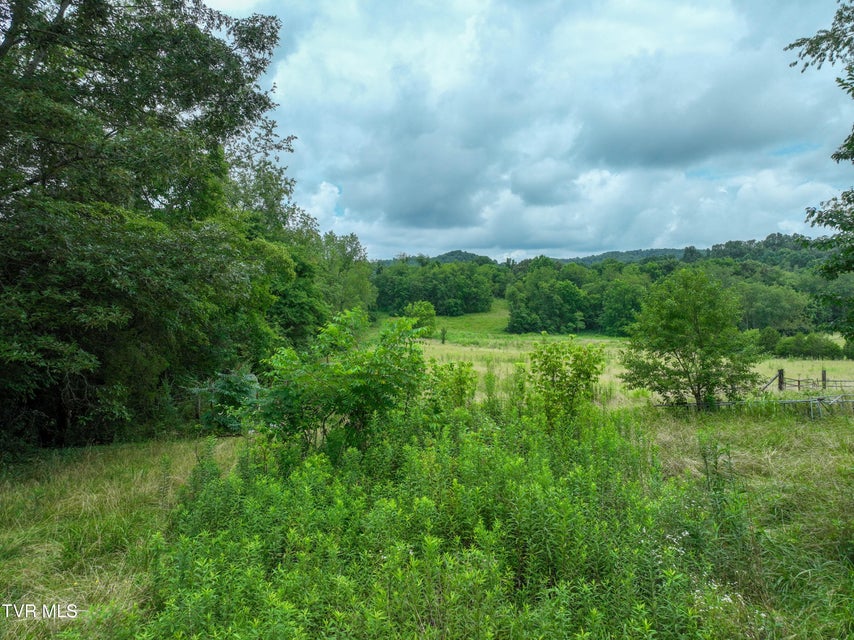 Photo #38: 1403 Bristol Caverns Highway