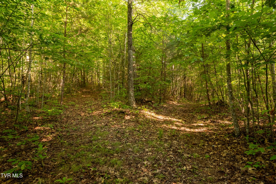 Photo #17: Tbd Patty Branch Road