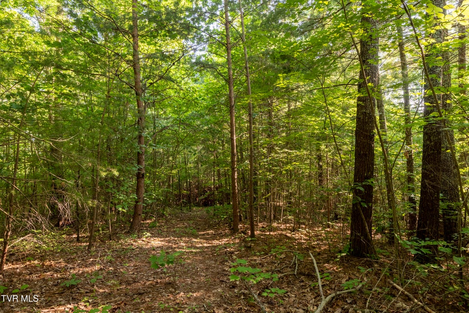 Photo #18: Tbd Patty Branch Road